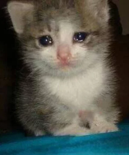 Sticker Напиздив :: @fStikBot - 3