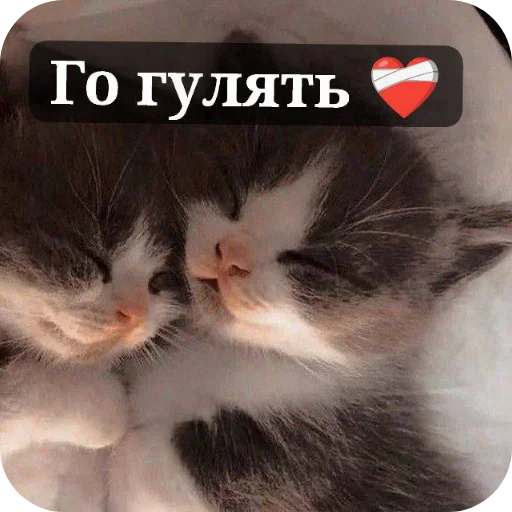 Стикер SyxpJi8oxi_by_Sticker_tg_robot - 1