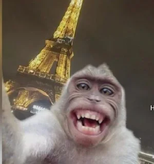 Стикер Хз @HoroScopRoBot - 3