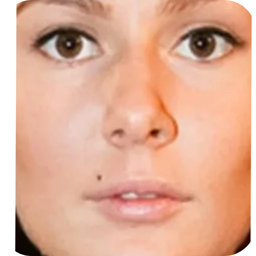 Sticker Szh8CIUvsE_by_Stikerhi_bot - 1