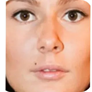 Sticker Наш слоняра @Stikerhi_bot - 3