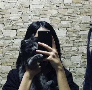 Sticker ЭЛЬКА СДЕЛАЛ(xdarkloma) - 8