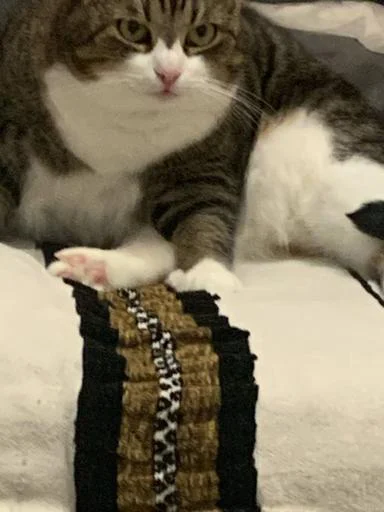 смурфушка @Shrifty_textbot - 