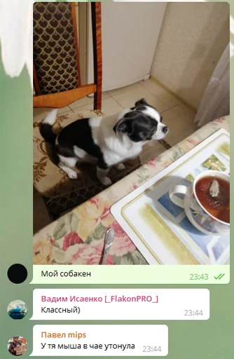 Стикер T1 Sticks - 10