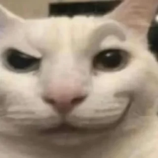 Стикер кристально похуй - 1