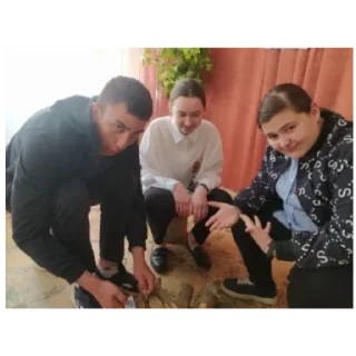 Стикер ТДАЛЕВДВ ОПГ - 8