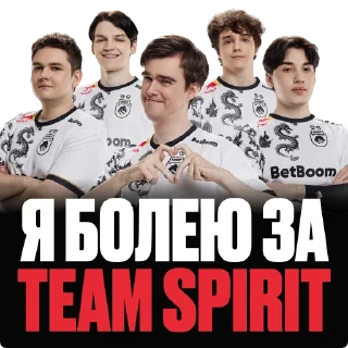 Sticker TEAM SPIRIT EWC 2024 - 3