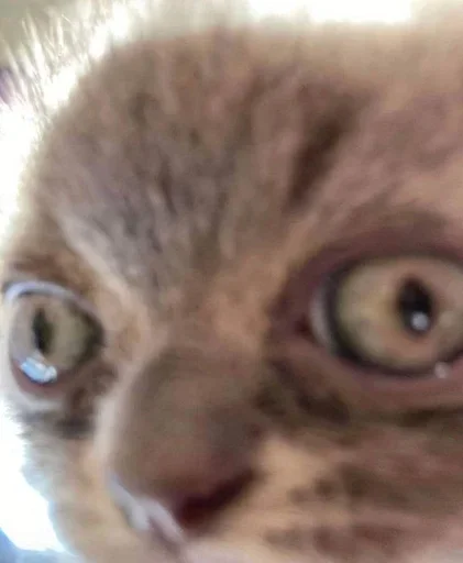 Больше стиков тут: @stikery4 - 