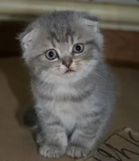 Sticker Больше стиков тут: @stikery4 - 2