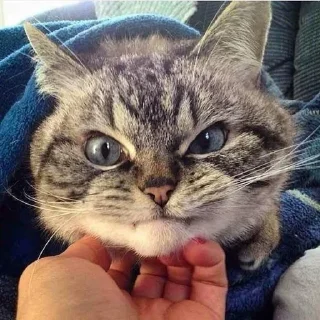 Sticker Больше стиков тут: @stikery4 - 1