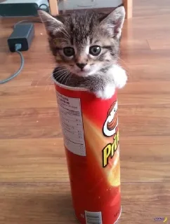 Sticker Больше стиков тут: @stikery4 - 4