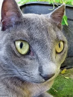 Sticker Больше стиков тут: @stikery4 - 3