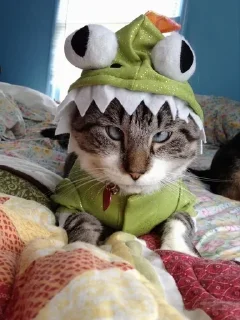 Sticker Больше стиков тут: @stikery4 - 7