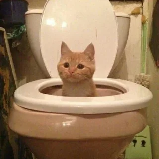 Sticker Больше стиков тут: @stikery4 - 6