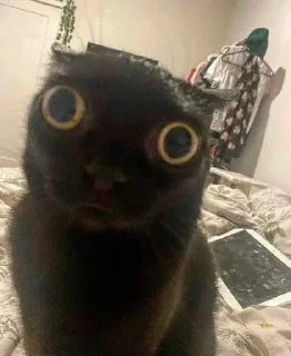 Sticker Больше стиков тут: @stikery4 - 11