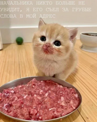 Sticker TFDDuafAoMwaCplhp_by_stickers_stealer_bot - 1