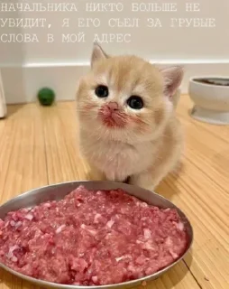 Стикер Создай свои стикеры - @sozdsti_bot - 4