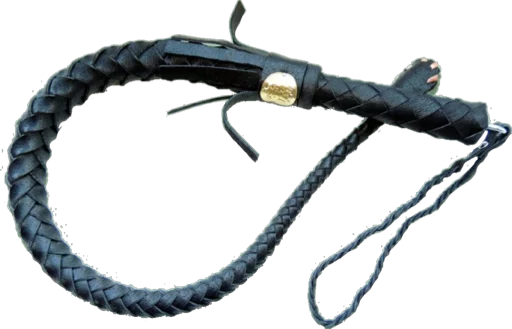 кнут животное