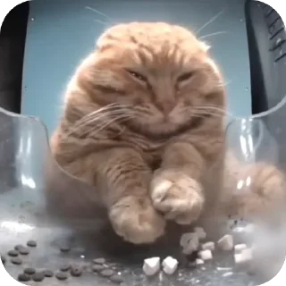 Sticker THE BLOW - 7