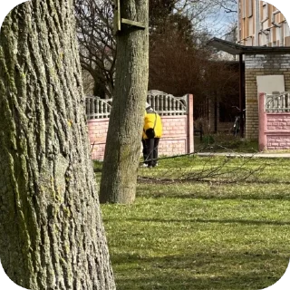 Sticker THE BLOW - 8