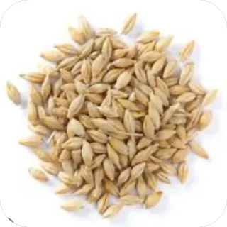 Sticker THE BLOW - 6