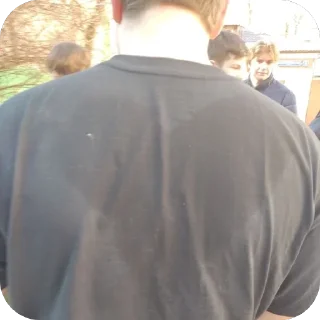 Sticker ТИМАФУЧИ - 6