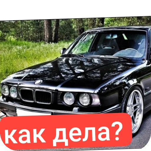 Sticker TIMOHABMW - 1