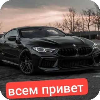 Стикер TIMOHA BMW - 10