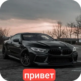 Стикер TIMOHA BMW - 3