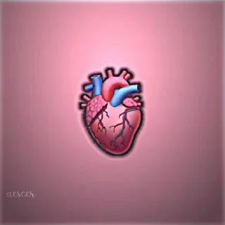 Sticker Больше стиков тут: @stikery4 - 1