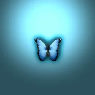 Sticker Больше стиков тут: @stikery4 - 7