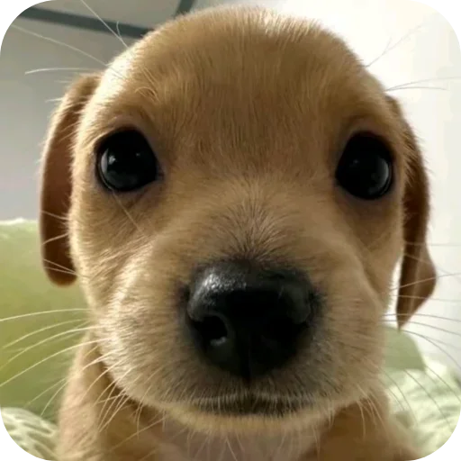 Больше стиков тут: @stikery4 - 