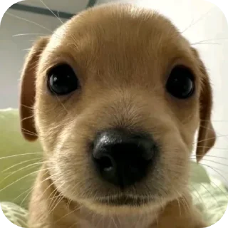 Стикер Больше стиков тут: @stikery4 - 5