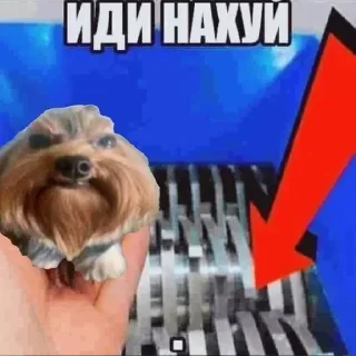 Стикер Больше стикеров 👉🏻 @stickertg4 - 2