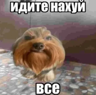 Стикер Больше стикеров 👉🏻 @stickertg4 - 1