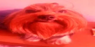 Стикер Больше стикеров 👉🏻 @stickertg4 - 5