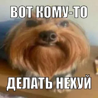 Стикер Больше стикеров 👉🏻 @stickertg4 - 9