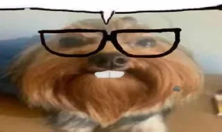 Стикер Больше стикеров 👉🏻 @stickertg4 - 7