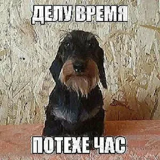 Стикер Больше стикеров 👉🏻 @stickertg4 - 3