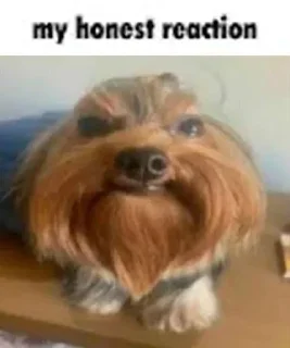 Стикер Больше стикеров 👉🏻 @stickertg4 - 10