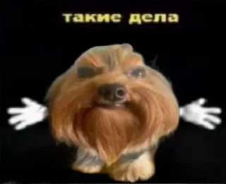 Стикер Больше стикеров 👉🏻 @stickertg4 - 11