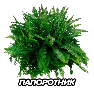 Стикер TM 22|23 - 3