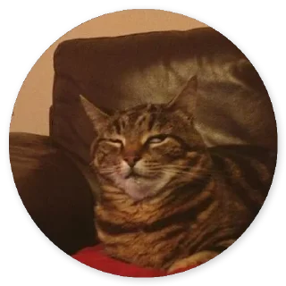 Стикер Больше стиков тут: @stikery4 - 0