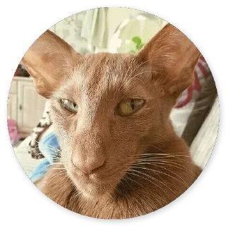 Стикер Больше стиков тут: @stikery4 - 7