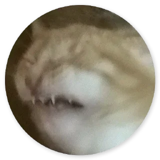 Стикер Больше стиков тут: @stikery4 - 8