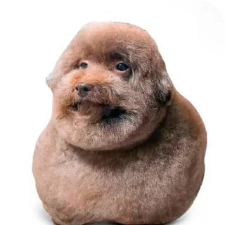 Sticker Больше стиков тут: @stikery4 - 0