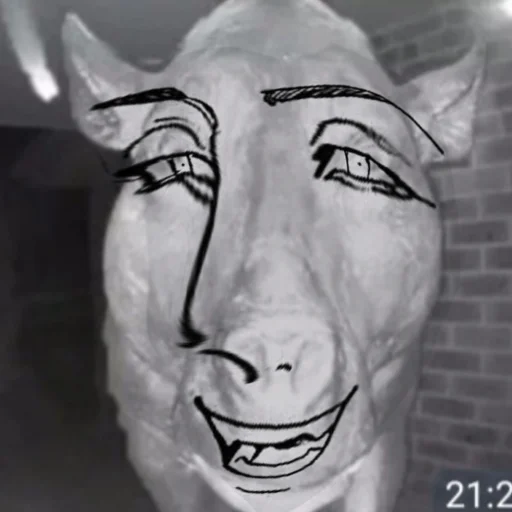 Sticker Tokyo xyi - 6