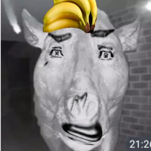 Sticker Tokyo xyi - 5