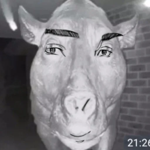 Sticker Tokyo xyi - 2