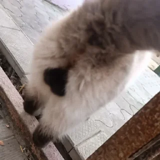 Стикер ТОКСИЧНЫЙ ЯД - 1